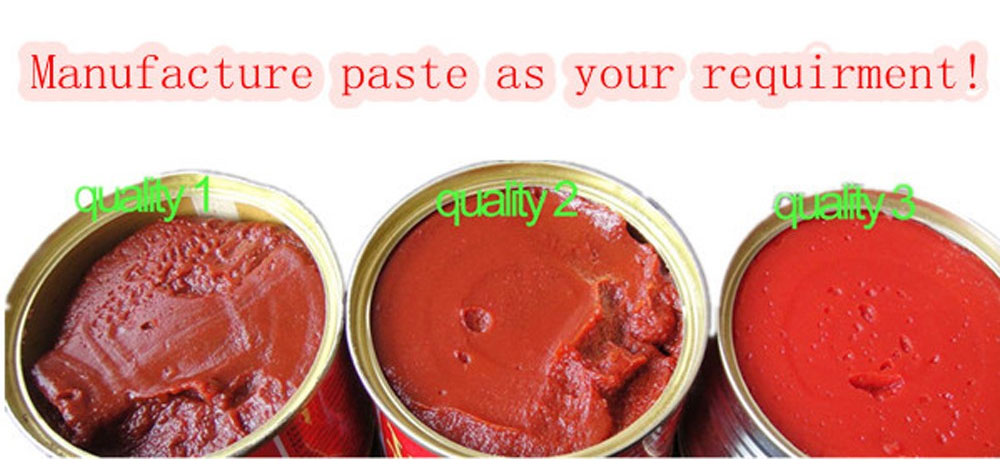 Chinese Manufacture Low Price Canned 28-30% Brix Organic Canned Tomato Paste