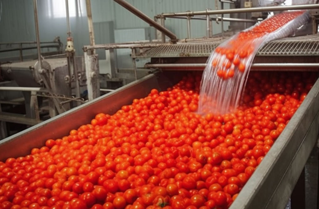Chinese Manufacture Low Price Canned 28-30% Brix Organic Canned Tomato Paste