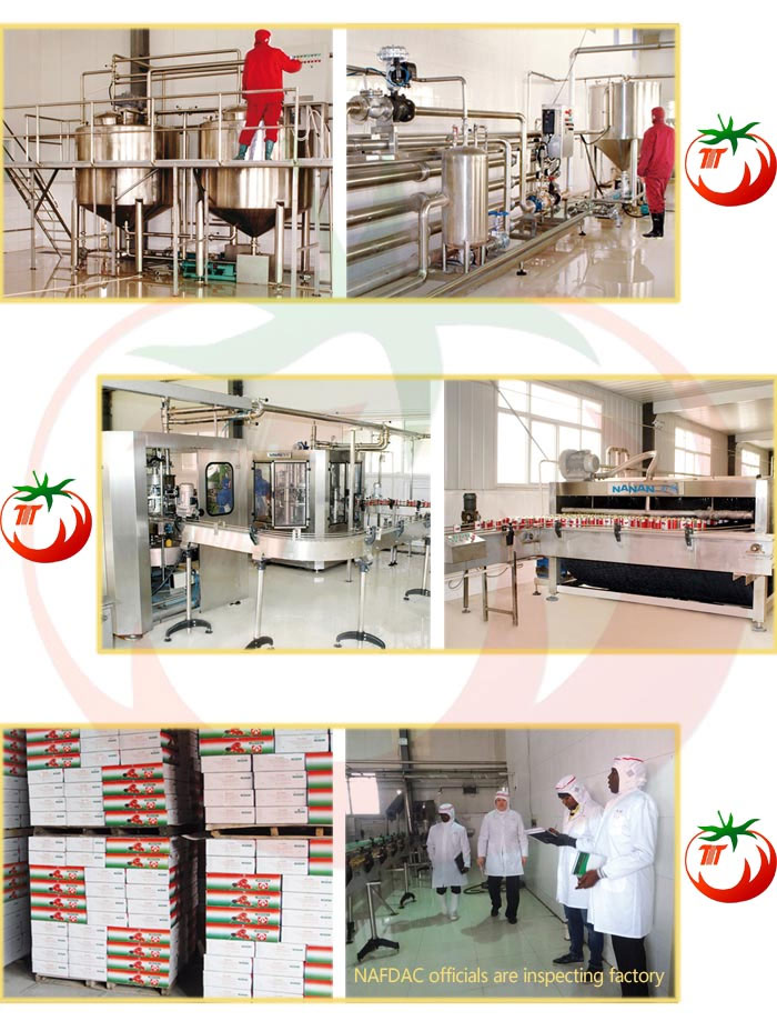 Chinese Manufacture Low Price Canned 28-30% Brix Organic Canned Tomato Paste