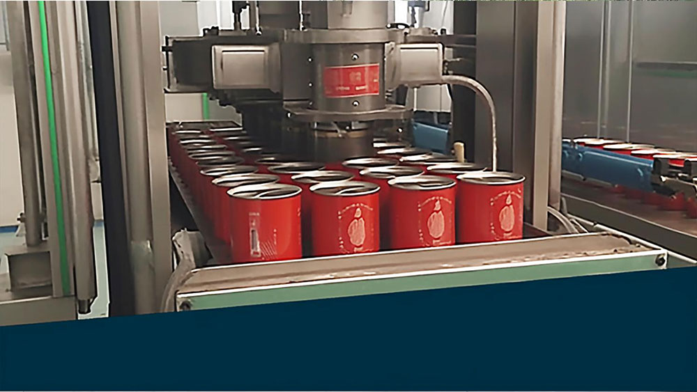 Chinese Manufacture Low Price Canned 28-30% Brix Organic Canned Tomato Paste