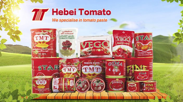 Chinese Manufacture Low Price Canned 28-30% Brix Organic Canned Tomato Paste