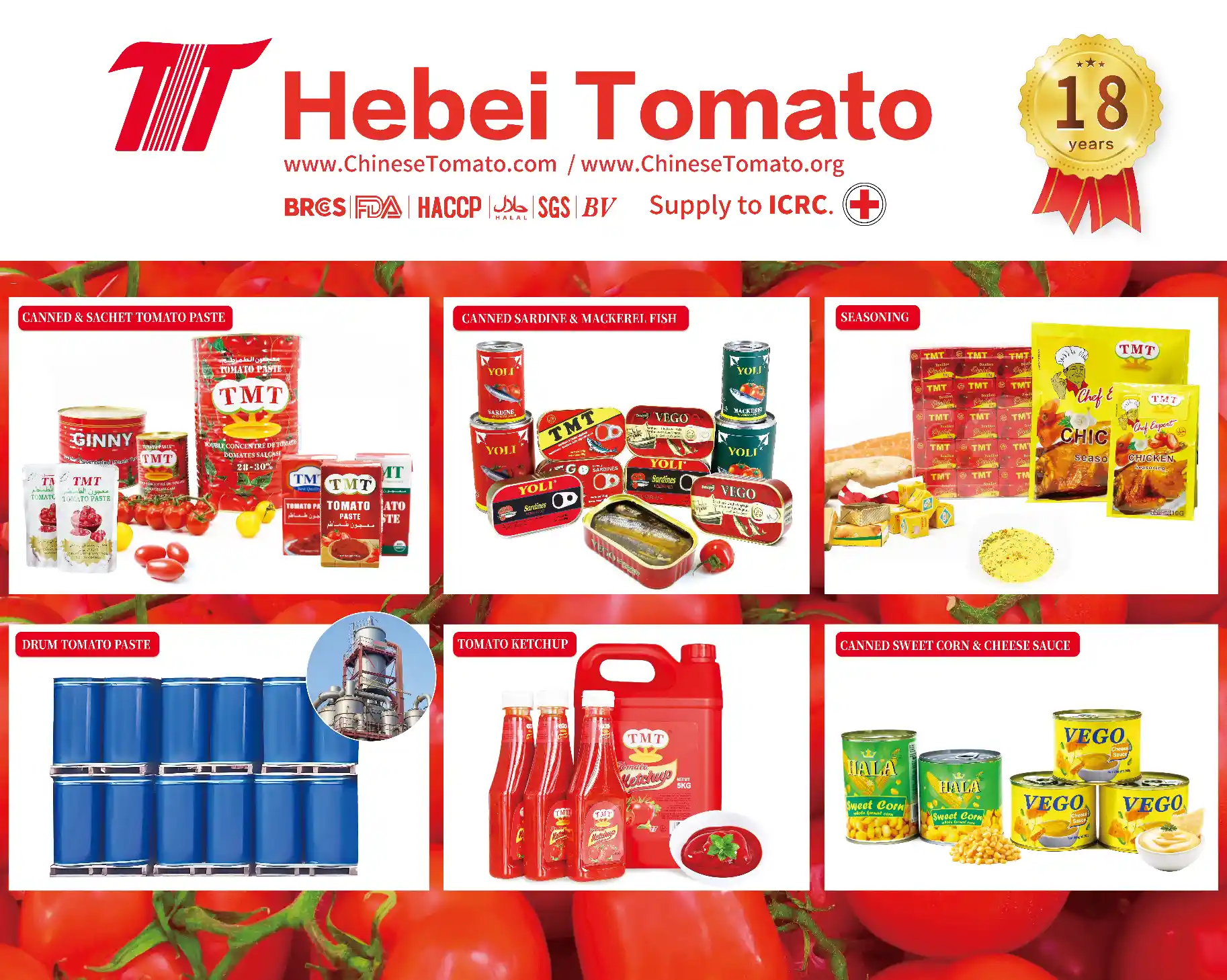 Heibei Tomato in AGRO PACK IRAQ