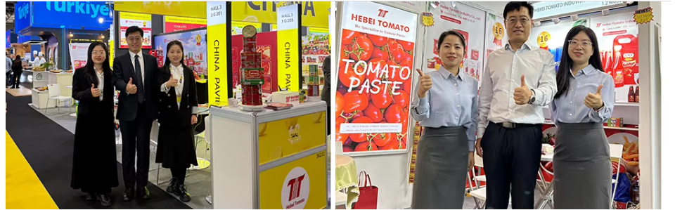 Sachet Tomato Paste 56g, 70g
