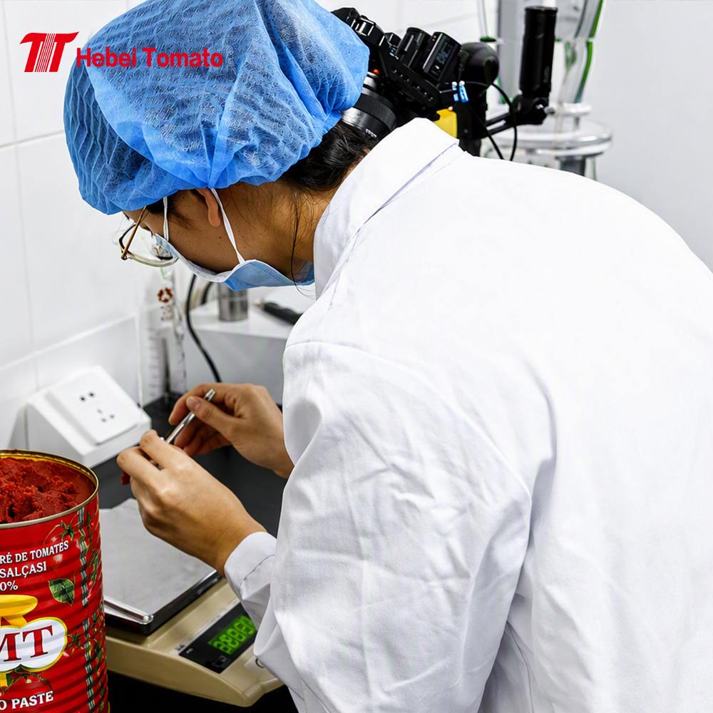 Hebei Tomato Industry Strengthens One-Stop Sourcing Model Across Seven Product Lines to Simplify Global Canned Food Procurement