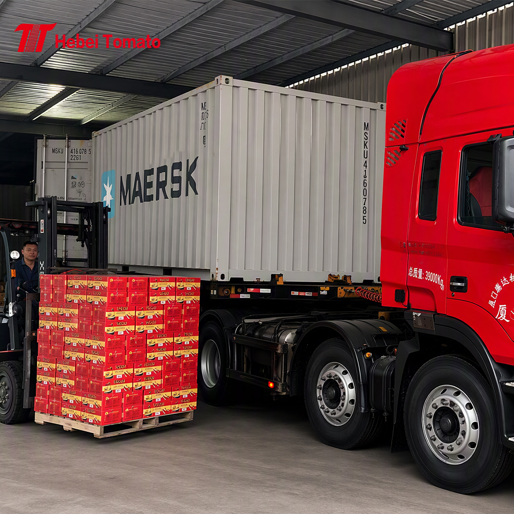 Hebei Tomato Industry Strengthens One-Stop Sourcing Model Across Seven Product Lines to Simplify Global Canned Food Procurement