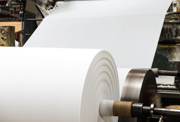 Pulp and Paper Pulp and Paper