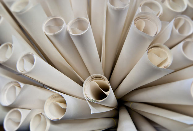 Pulp and Paper Pulp and Paper