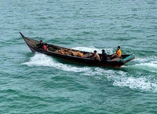 Somali and Guinea pirates