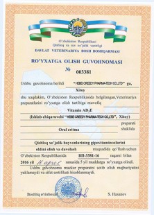 Certificate-00381-UZ