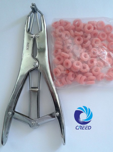Сurling Castration Rings & Castration Gum