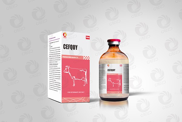 Cefquinome injection