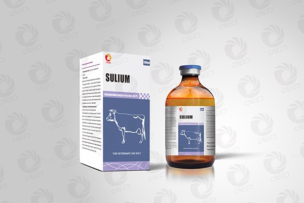 Sulphadimidine injection