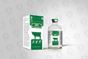 Amoxicillin injection