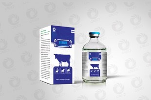 Dexamethasone injection