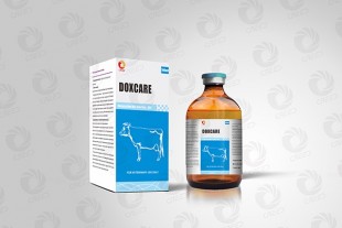 Doxycycline injection