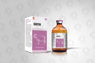 Gentamycin injection