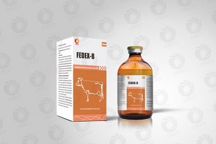 Iron dextran&VB12