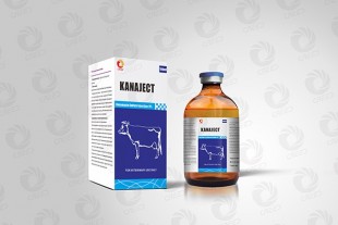 Kanamycin injection
