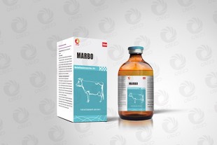 Marbrofloxacin injection