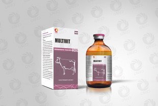 Multivitamin Injection