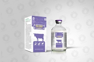 Procaine penicillin and dihydrostreptomycin injecion