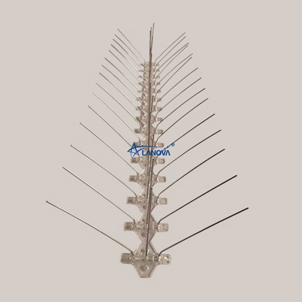 LABS0050453