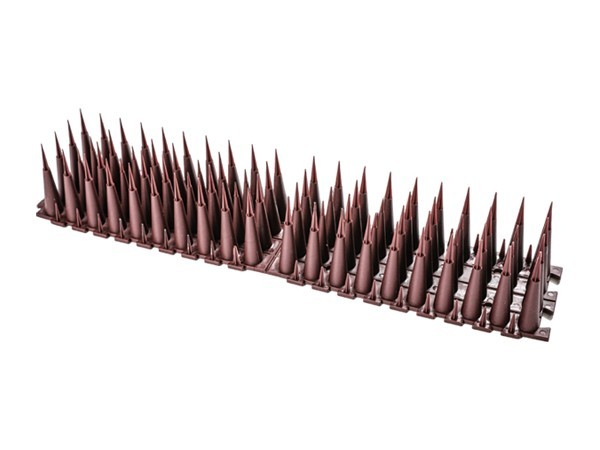 703020