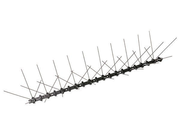 703025