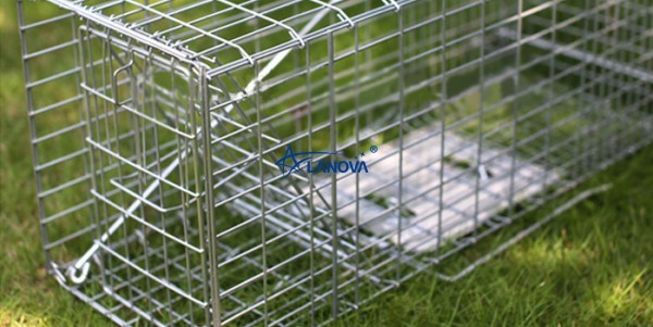 LIVE TRAP CAGE