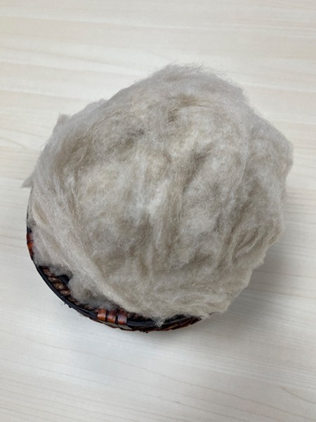 Camel hair MC1 Ivory
