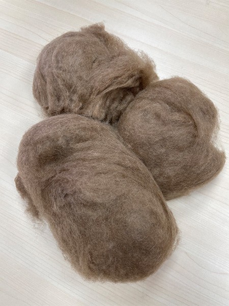 Camel hair MC2