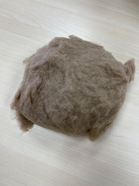 Camel hair MC5