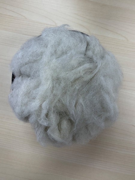 Fox Hair Silver