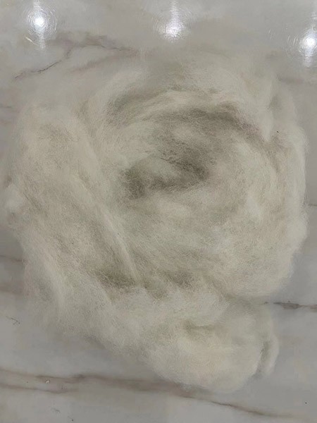 Fox Hair White