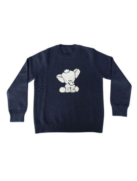Kid sweater with Intarsia animal design