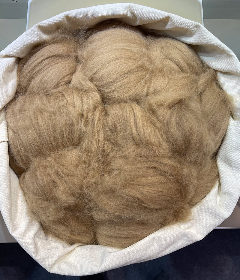 Camel hair tops 18