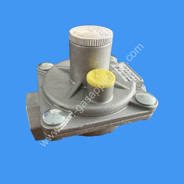 Dual gas Pressure Regulator 102